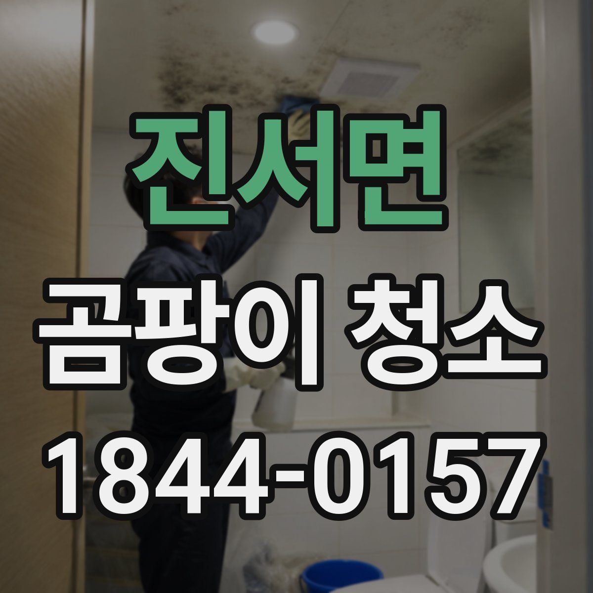 진서면 곰팡이 청소