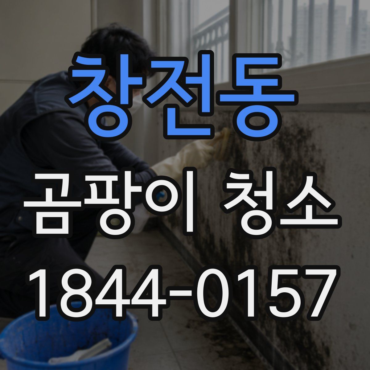 창전동 곰팡이 청소