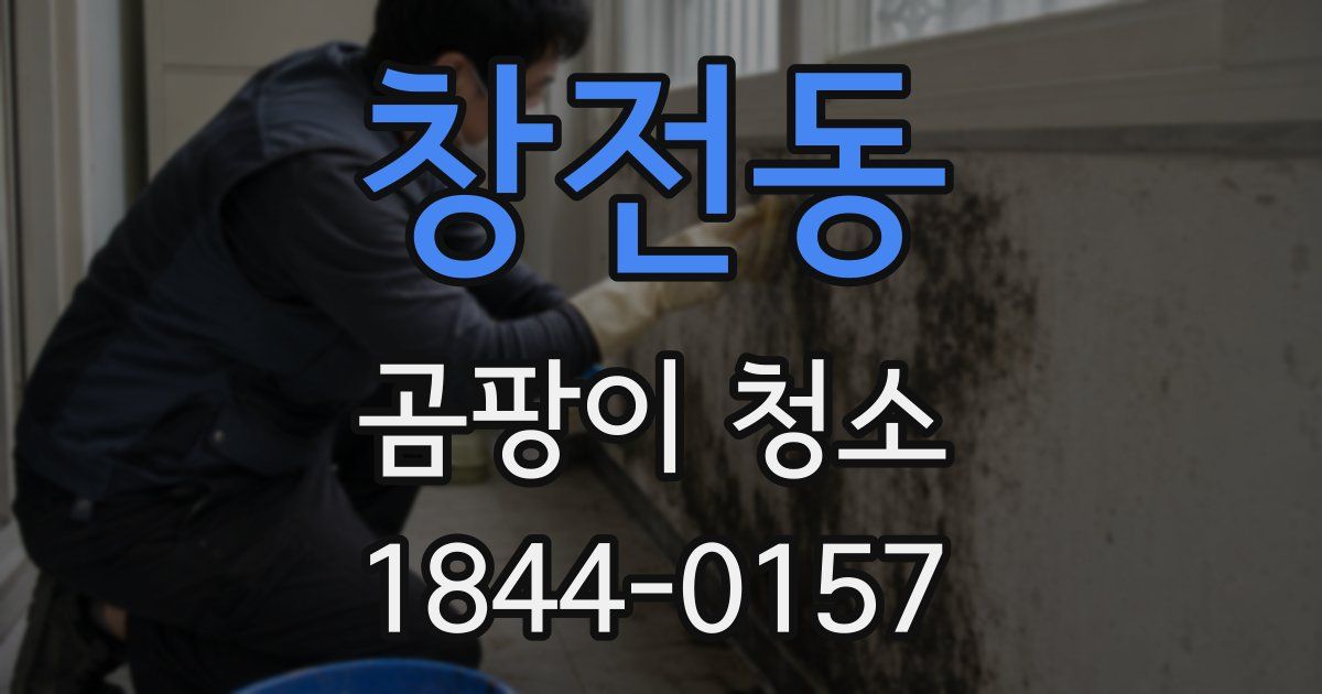 창전동 곰팡이 청소
