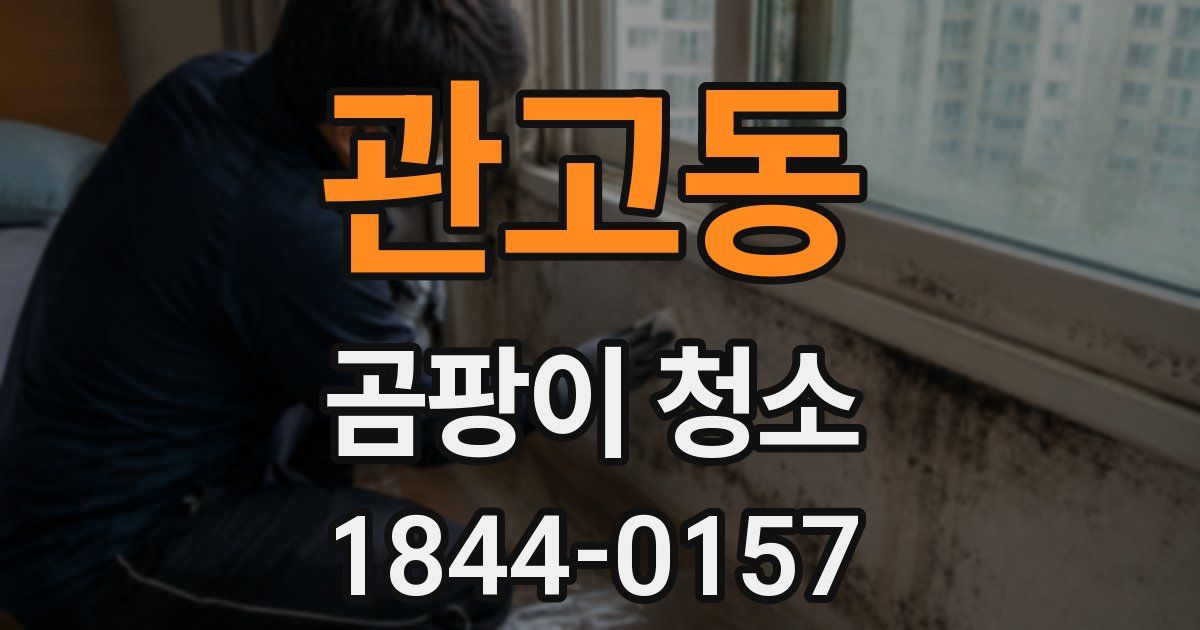 관고동 곰팡이 청소
