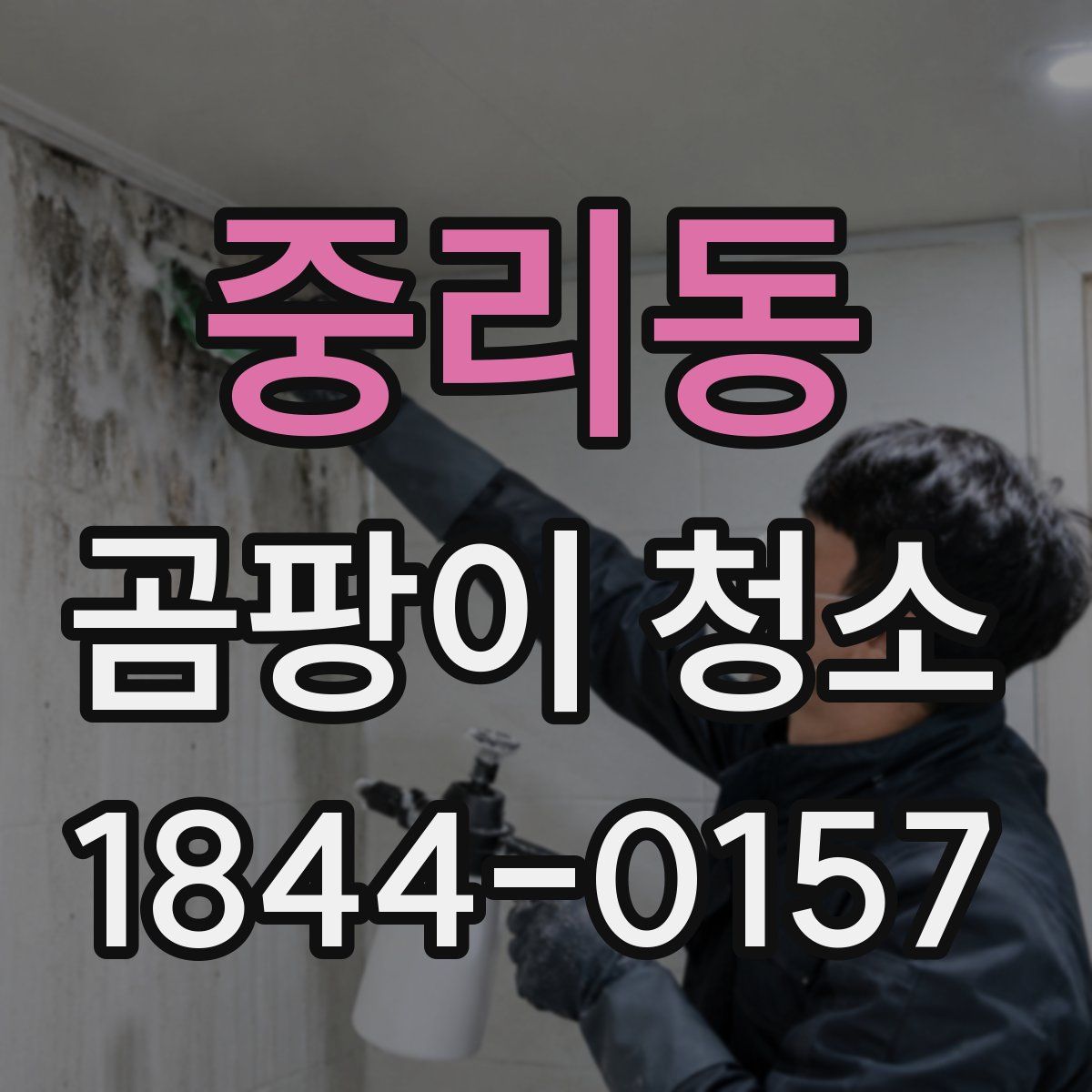 중리동 곰팡이 청소