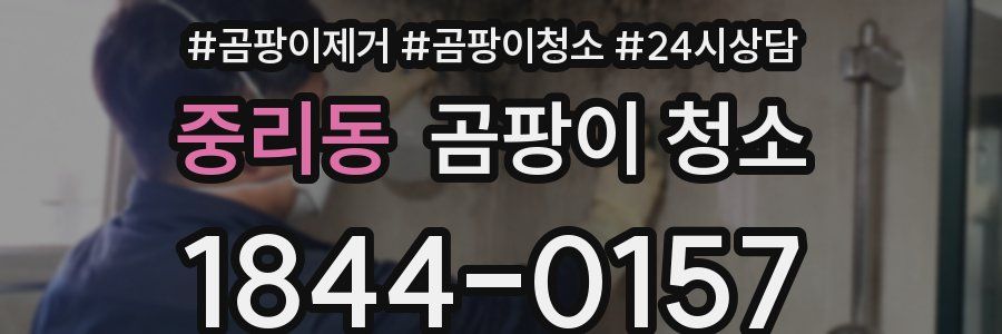 중리동 곰팡이 청소