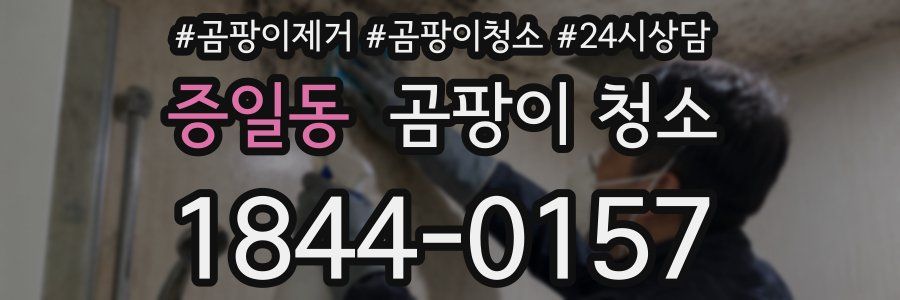 증일동 곰팡이 청소