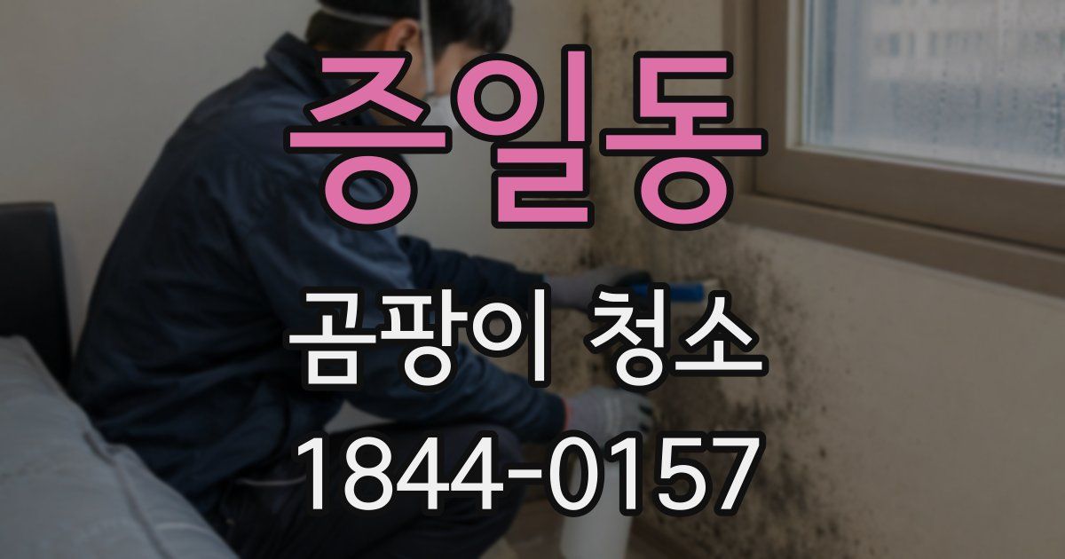 증일동 곰팡이 청소