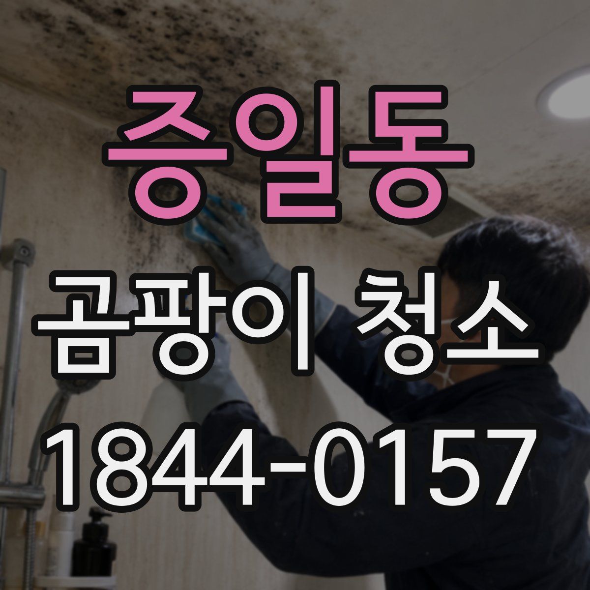증일동 곰팡이 청소