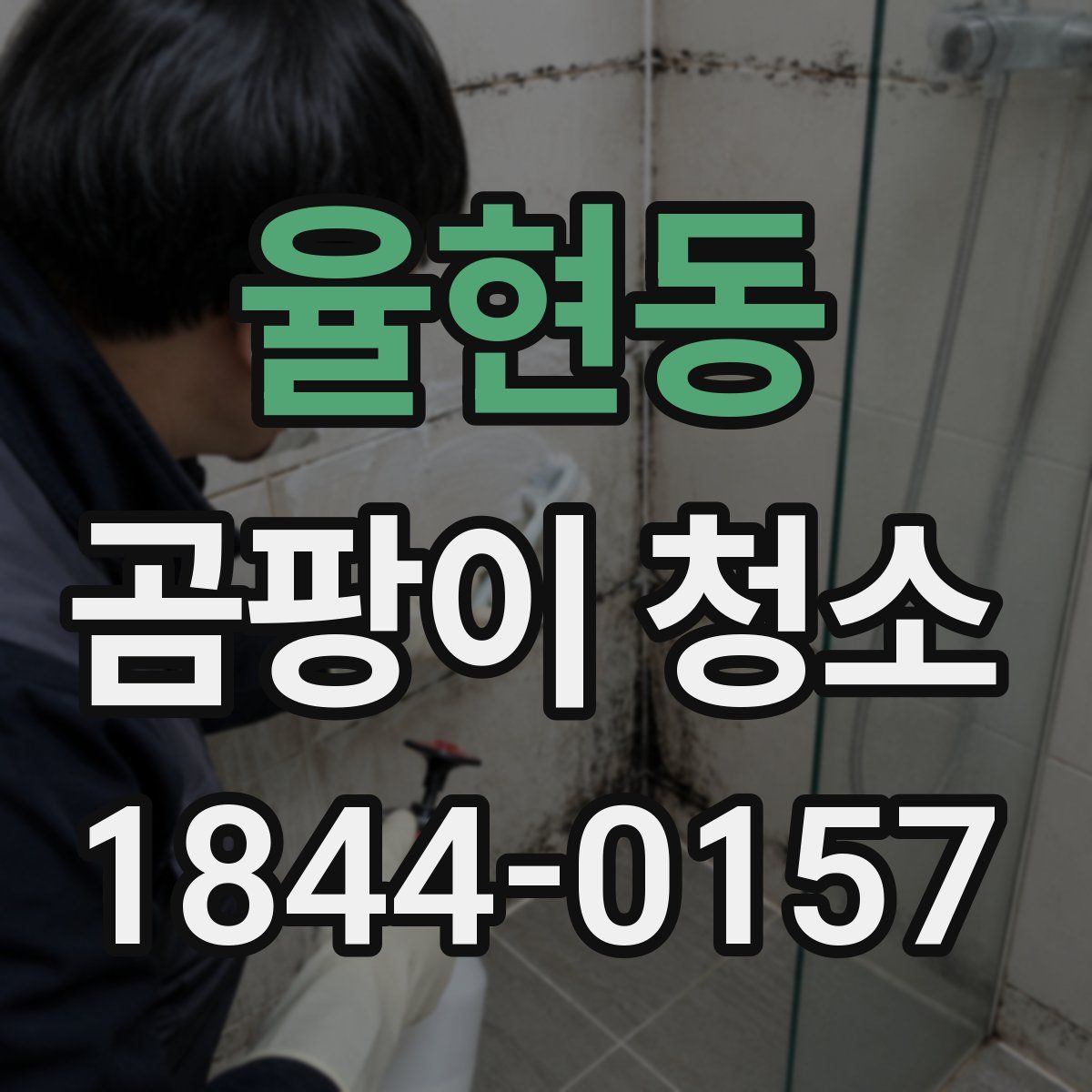 율현동 곰팡이 청소