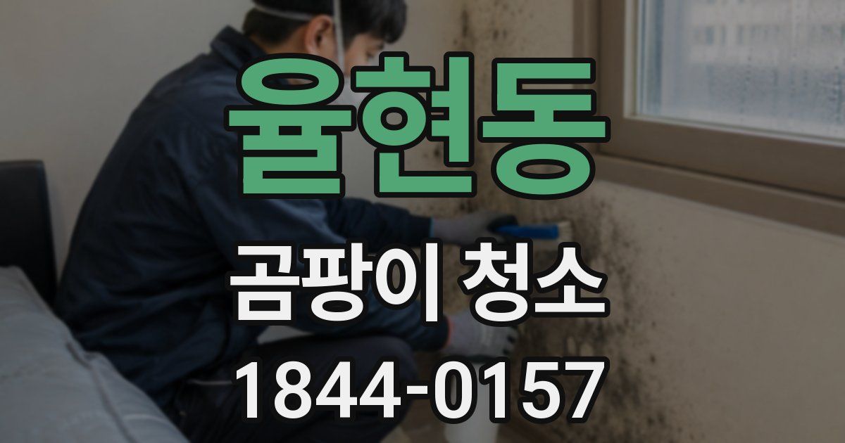 율현동 곰팡이 청소
