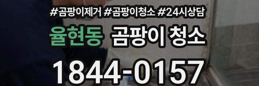 율현동 곰팡이 청소