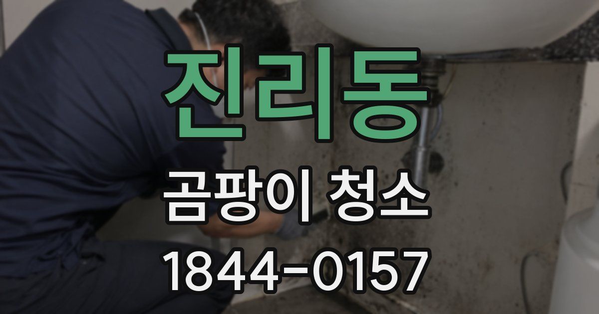 진리동 곰팡이 청소