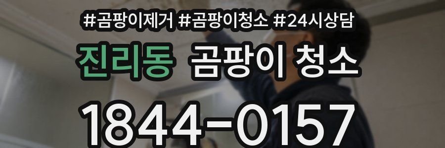 진리동 곰팡이 청소