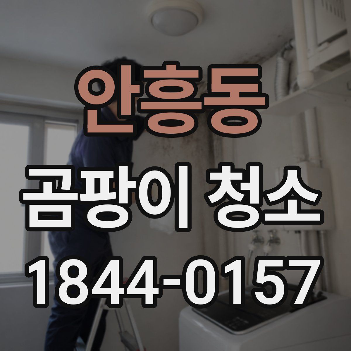 안흥동 곰팡이 청소