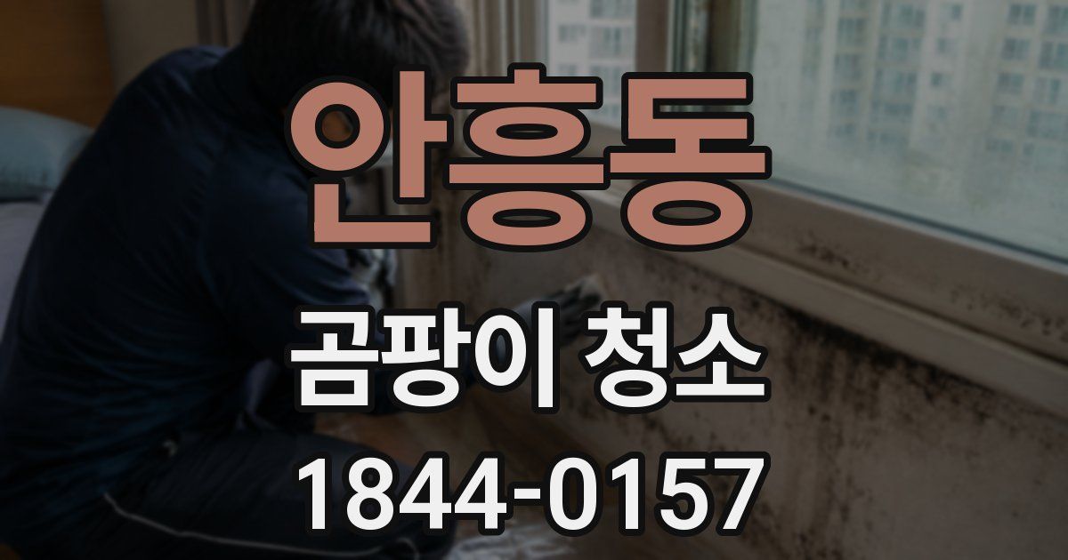 안흥동 곰팡이 청소