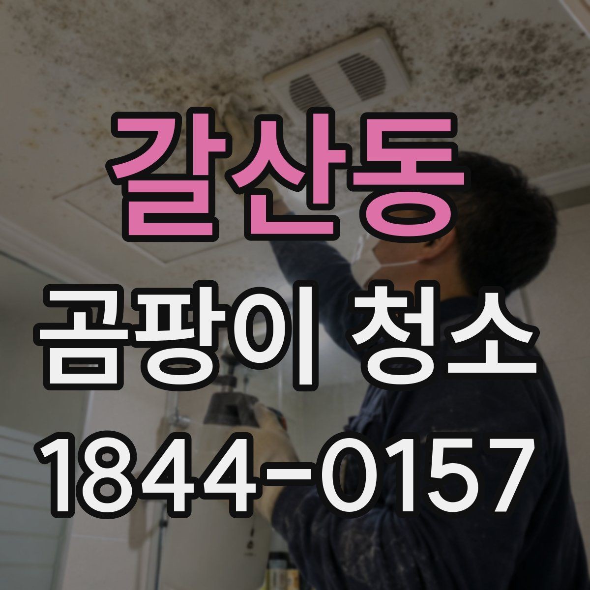 갈산동 곰팡이 청소 주방 오염 원인을 찾을 때 확인할 부분