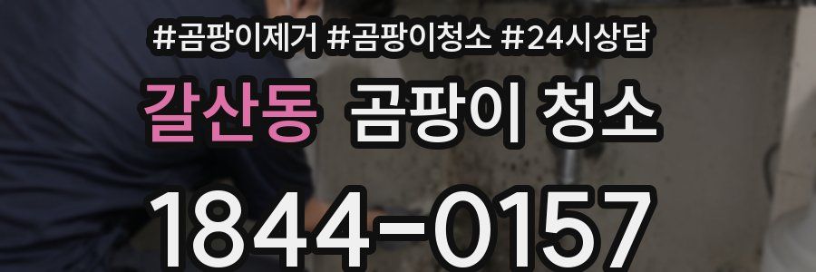 갈산동 곰팡이 청소