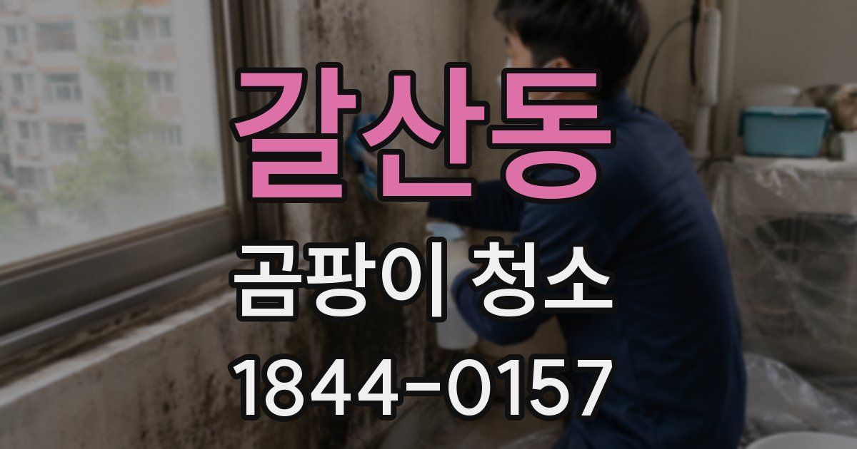 갈산동 곰팡이 청소