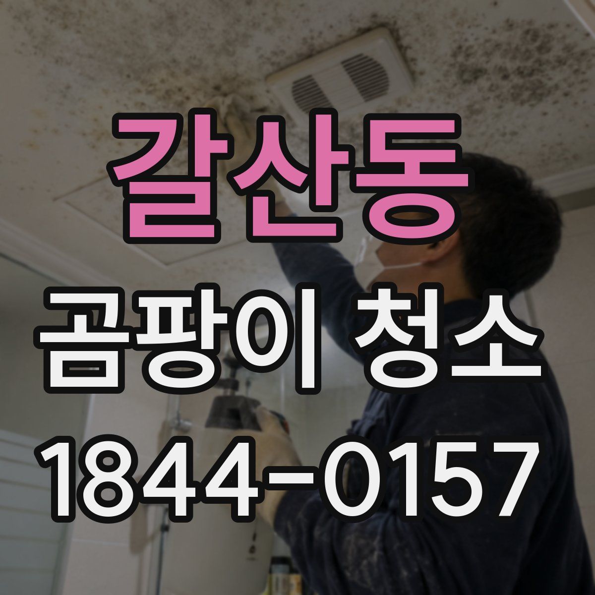 갈산동 곰팡이 청소
