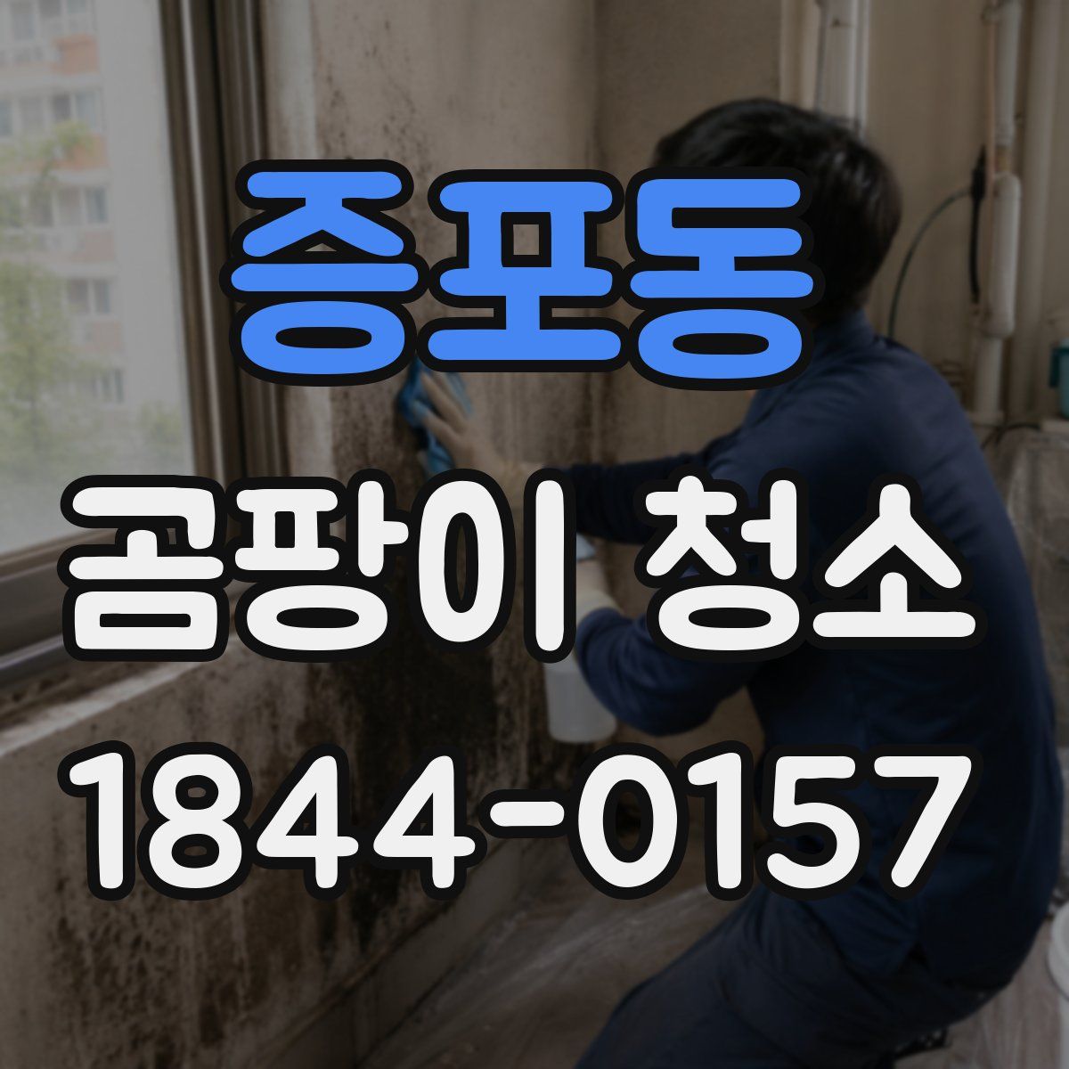 증포동 곰팡이 청소