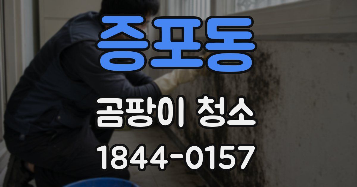 증포동 곰팡이 청소