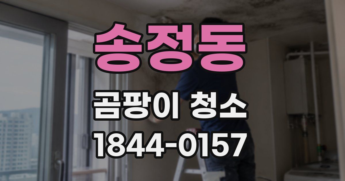 송정동 곰팡이 청소