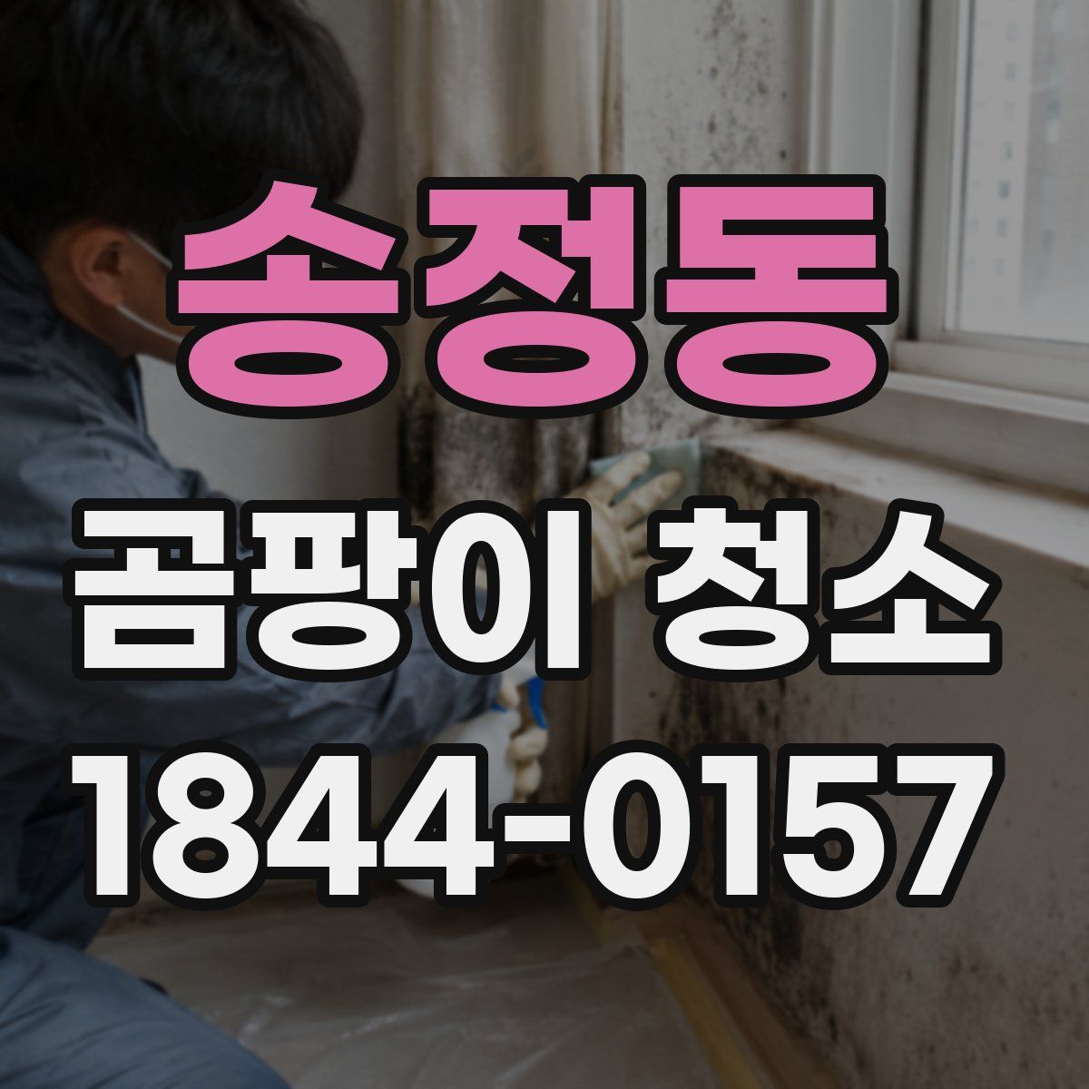 송정동 곰팡이 청소
