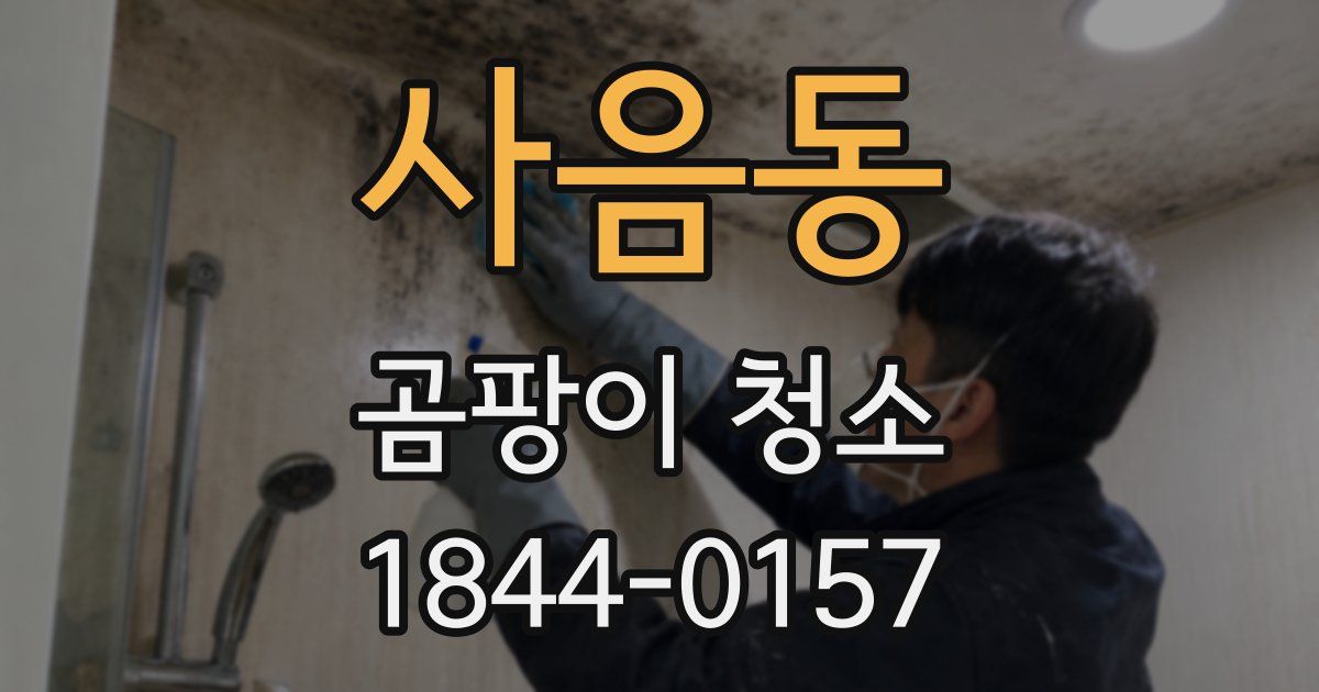 사음동 곰팡이 청소