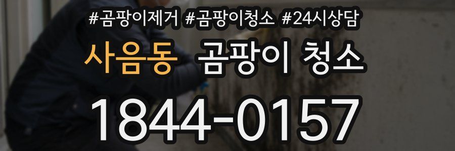 사음동 곰팡이 청소