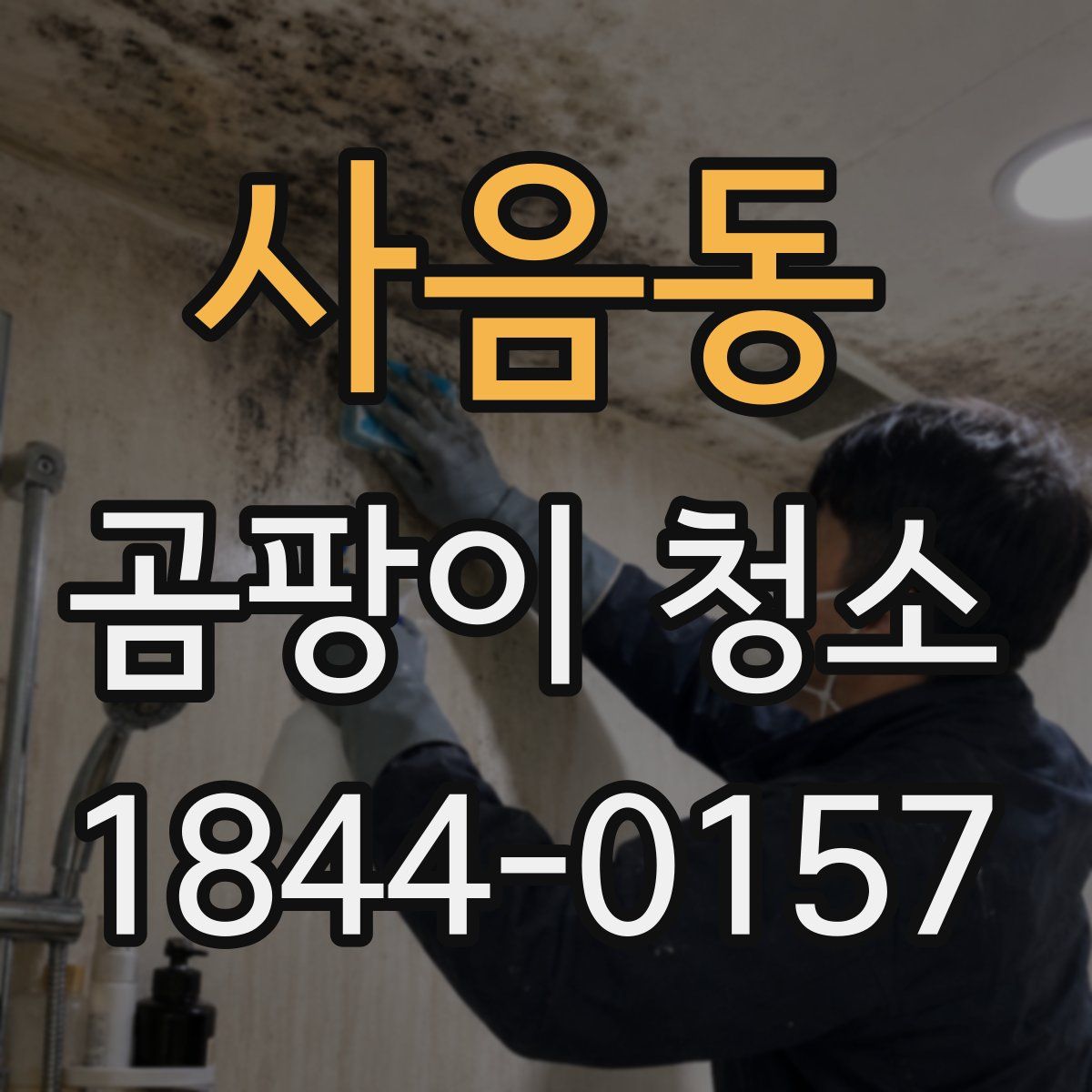 사음동 곰팡이 청소