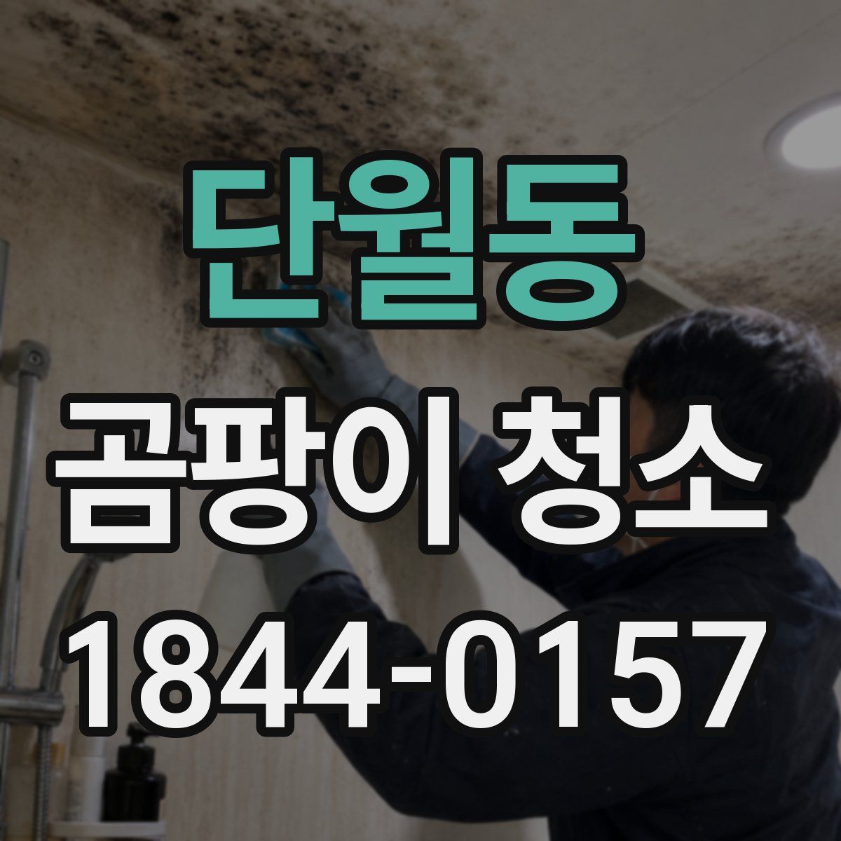 단월동 곰팡이 청소