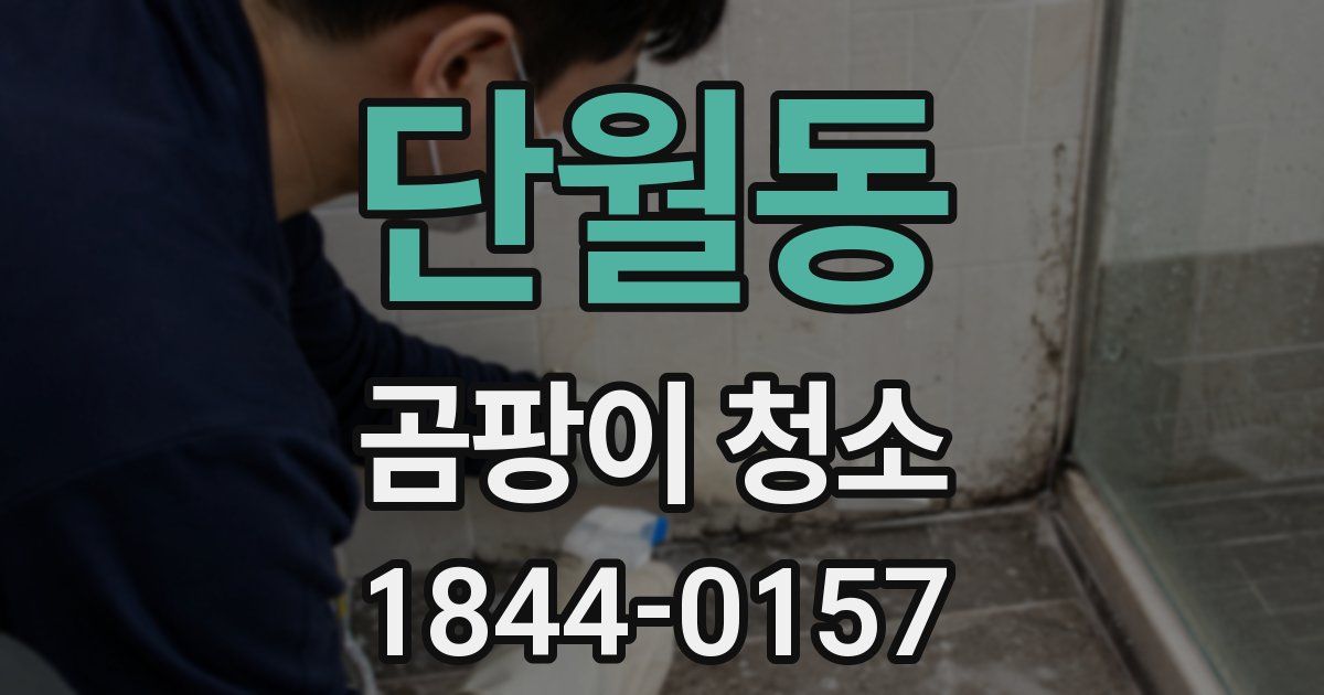 단월동 곰팡이 청소