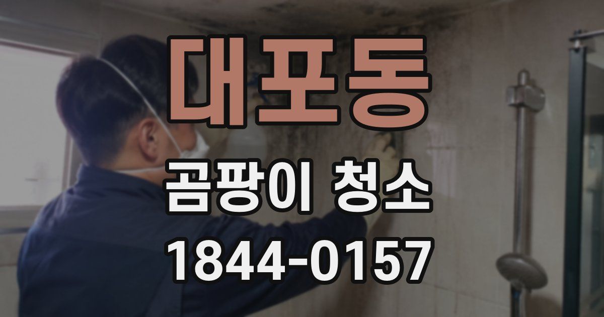 대포동 곰팡이 청소