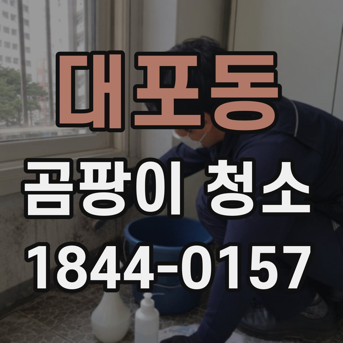 대포동 곰팡이 청소