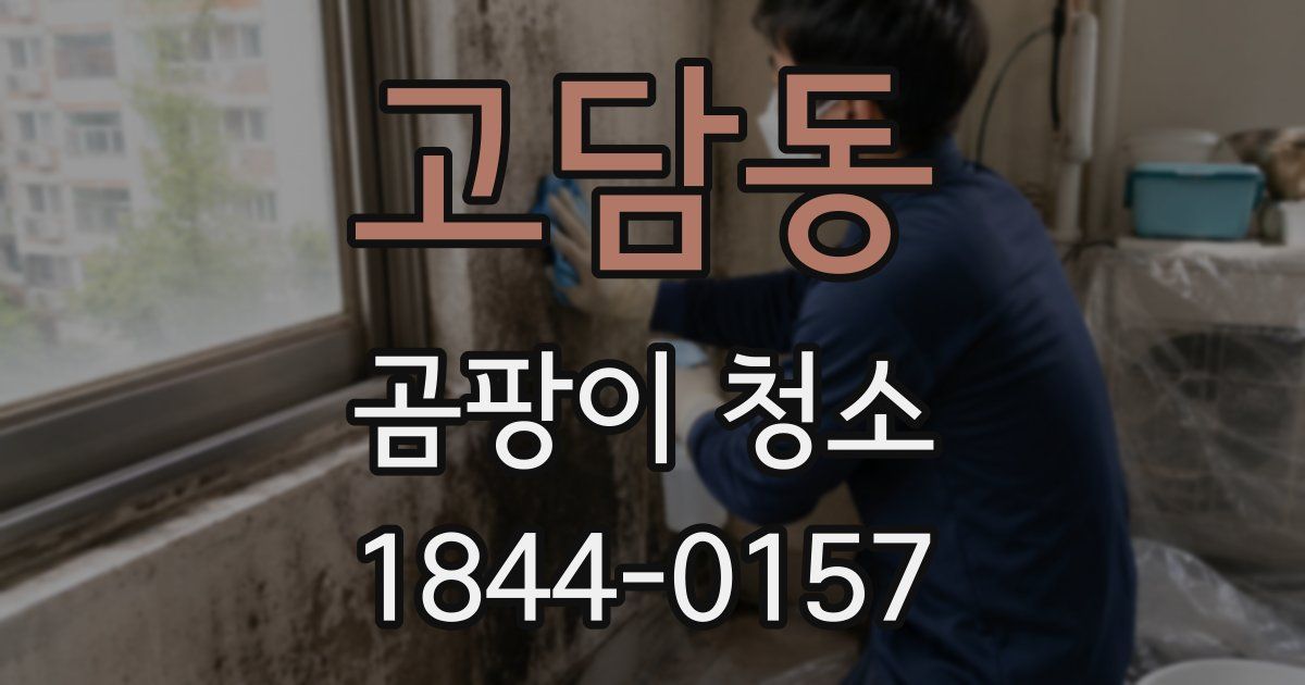 고담동 곰팡이 청소