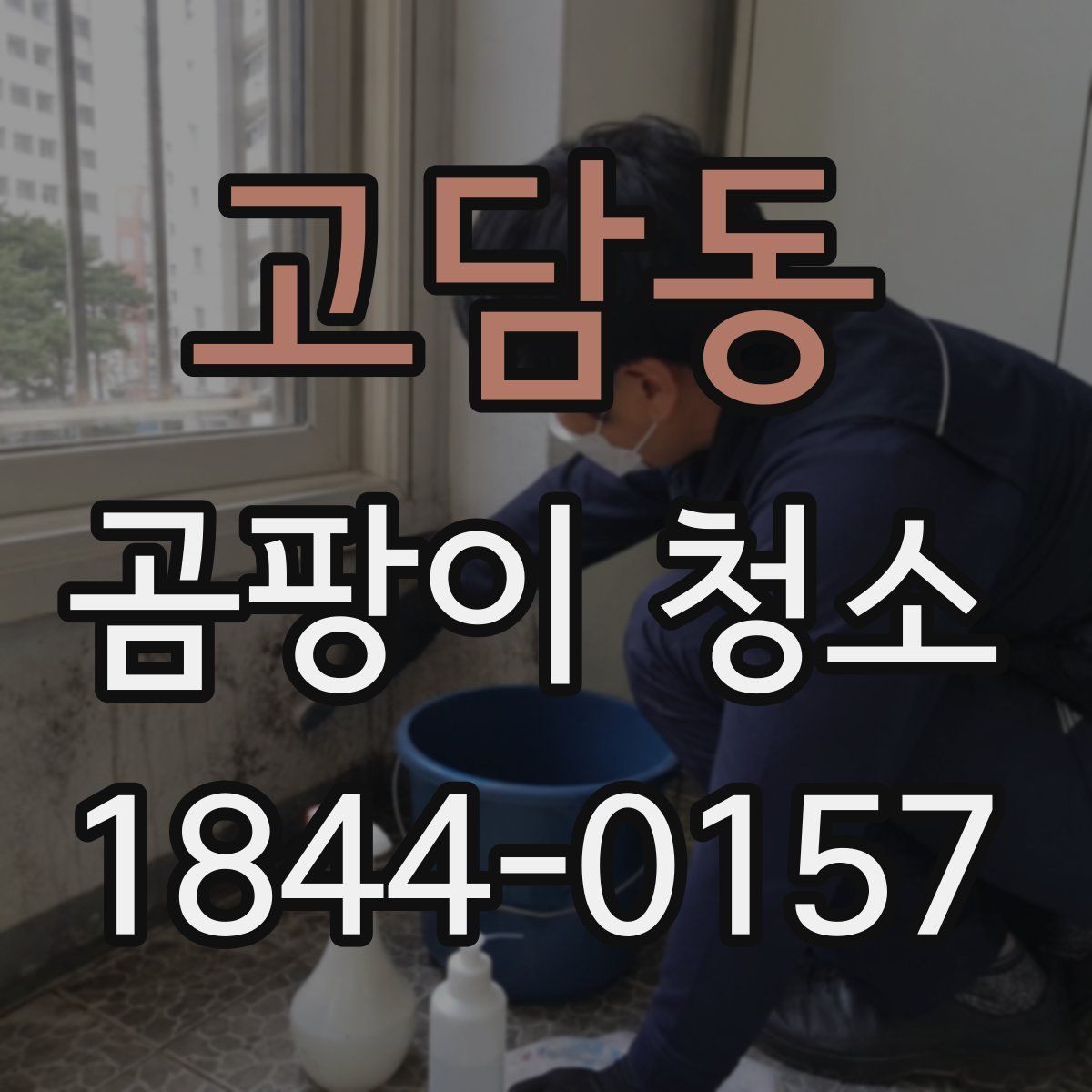 고담동 곰팡이 청소