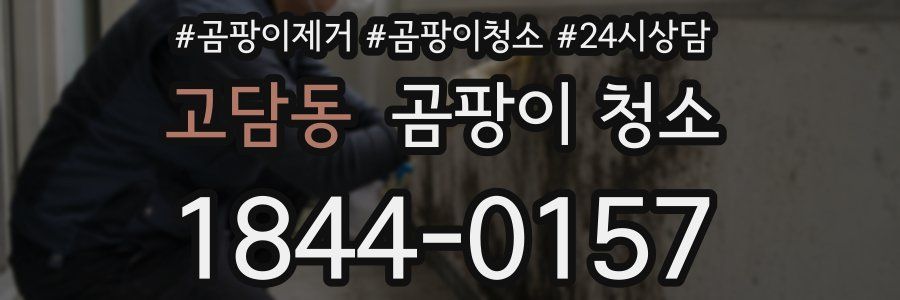 고담동 곰팡이 청소