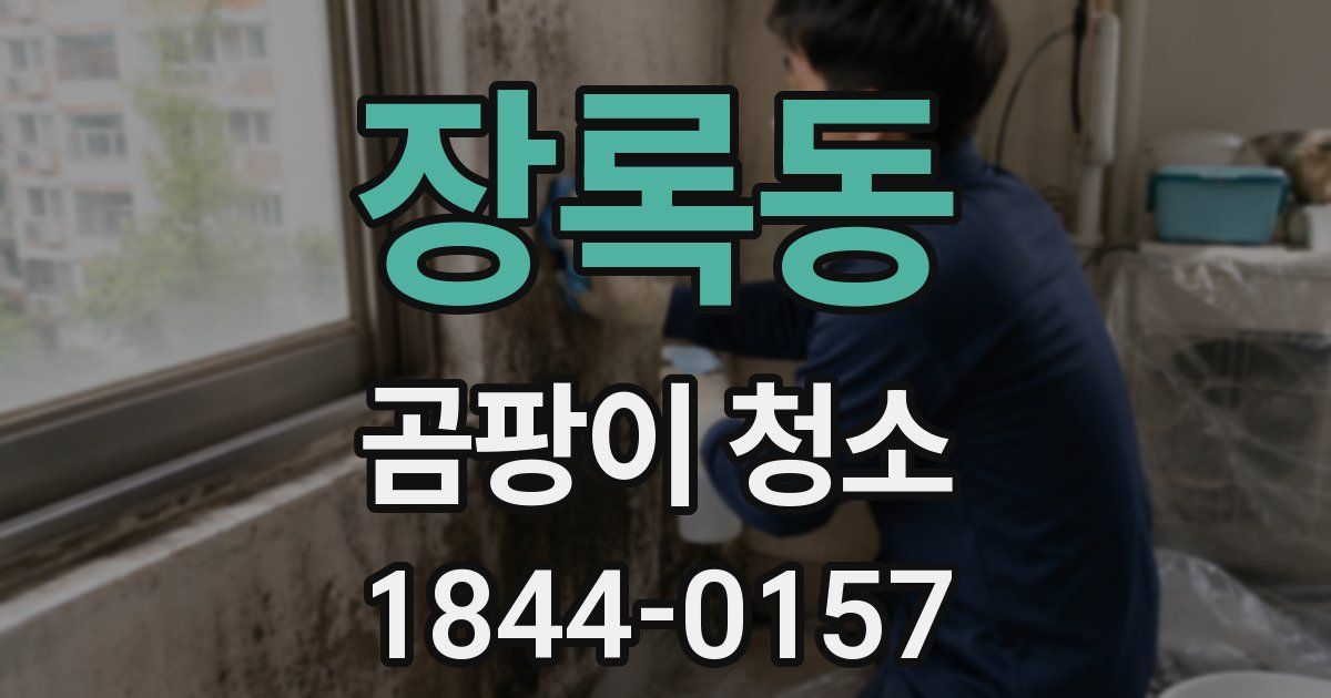 장록동 곰팡이 청소