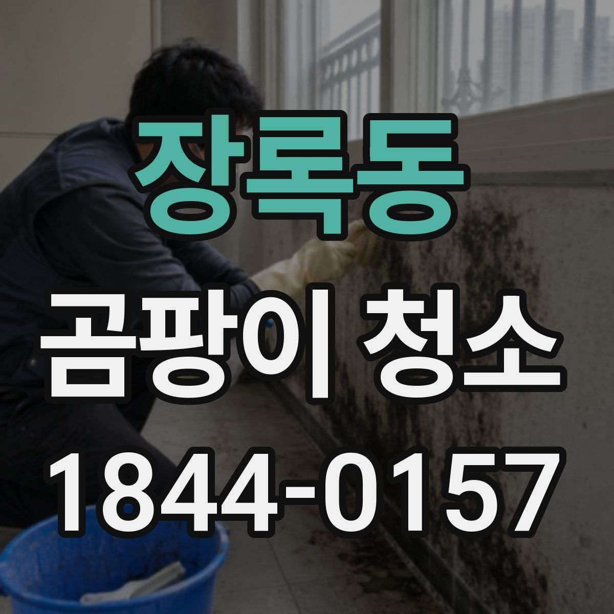 장록동 곰팡이 청소