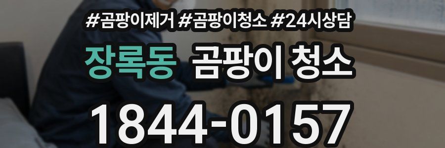 장록동 곰팡이 청소