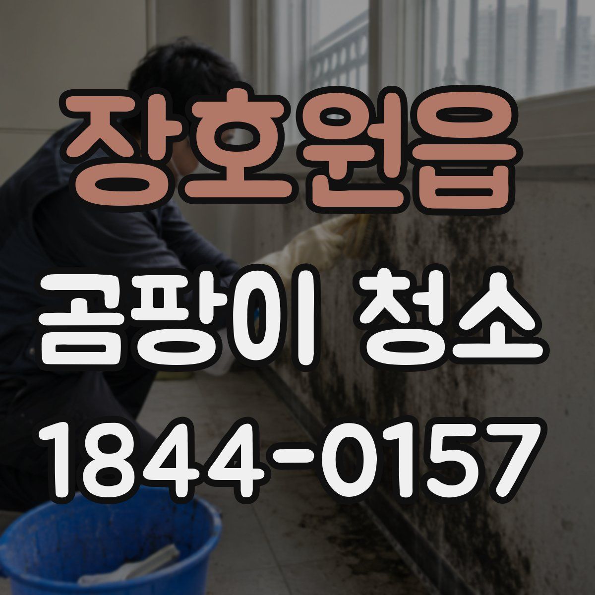 장호원읍 곰팡이 청소