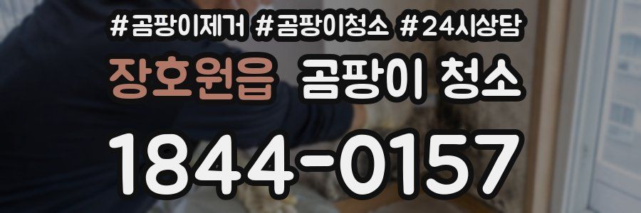 장호원읍 곰팡이 청소