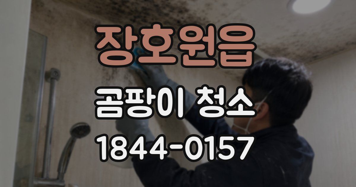 장호원읍 곰팡이 청소