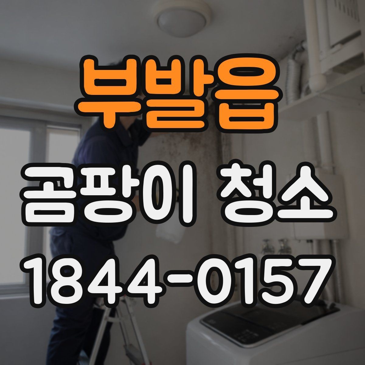 부발읍 곰팡이 청소 오염이 남는 벽지와 목재의 차이