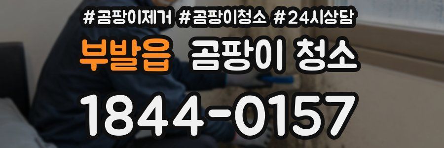 부발읍 곰팡이 청소