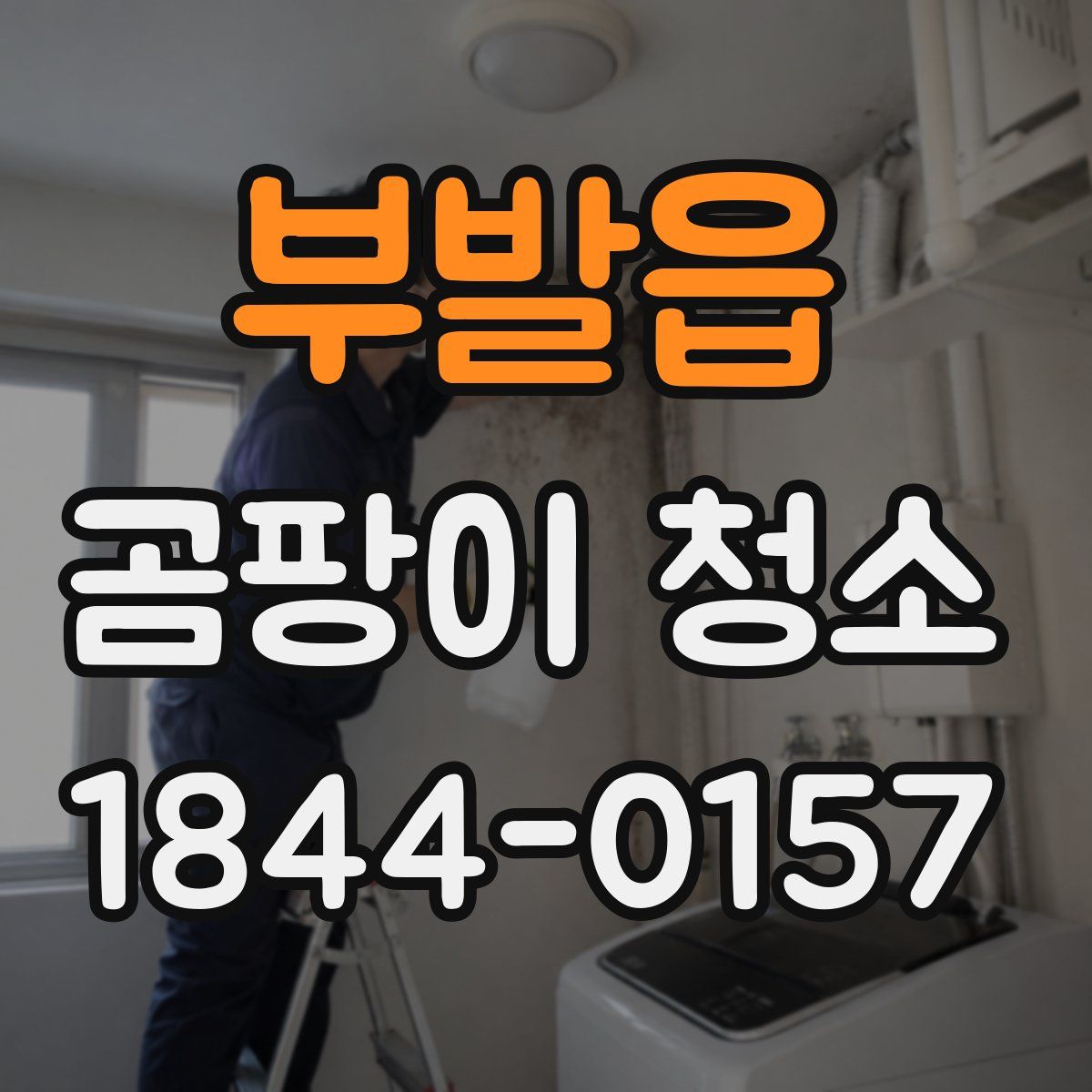 부발읍 곰팡이 청소