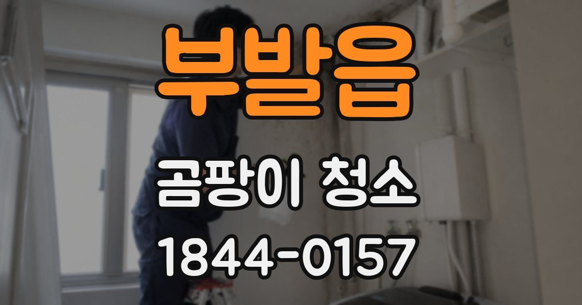 부발읍 곰팡이 청소