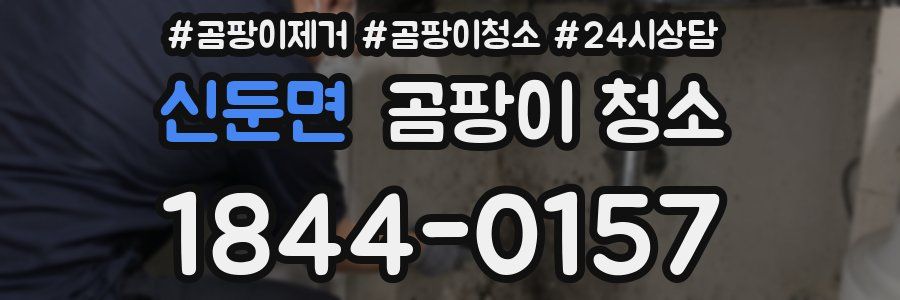신둔면 곰팡이 청소