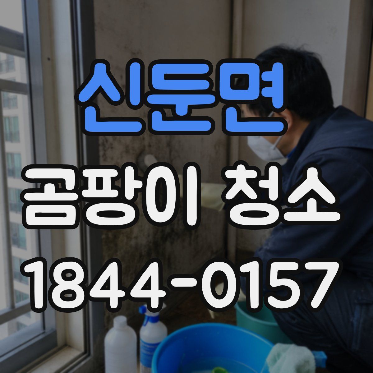 신둔면 곰팡이 청소