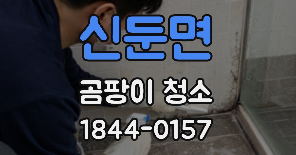 신둔면 곰팡이 청소
