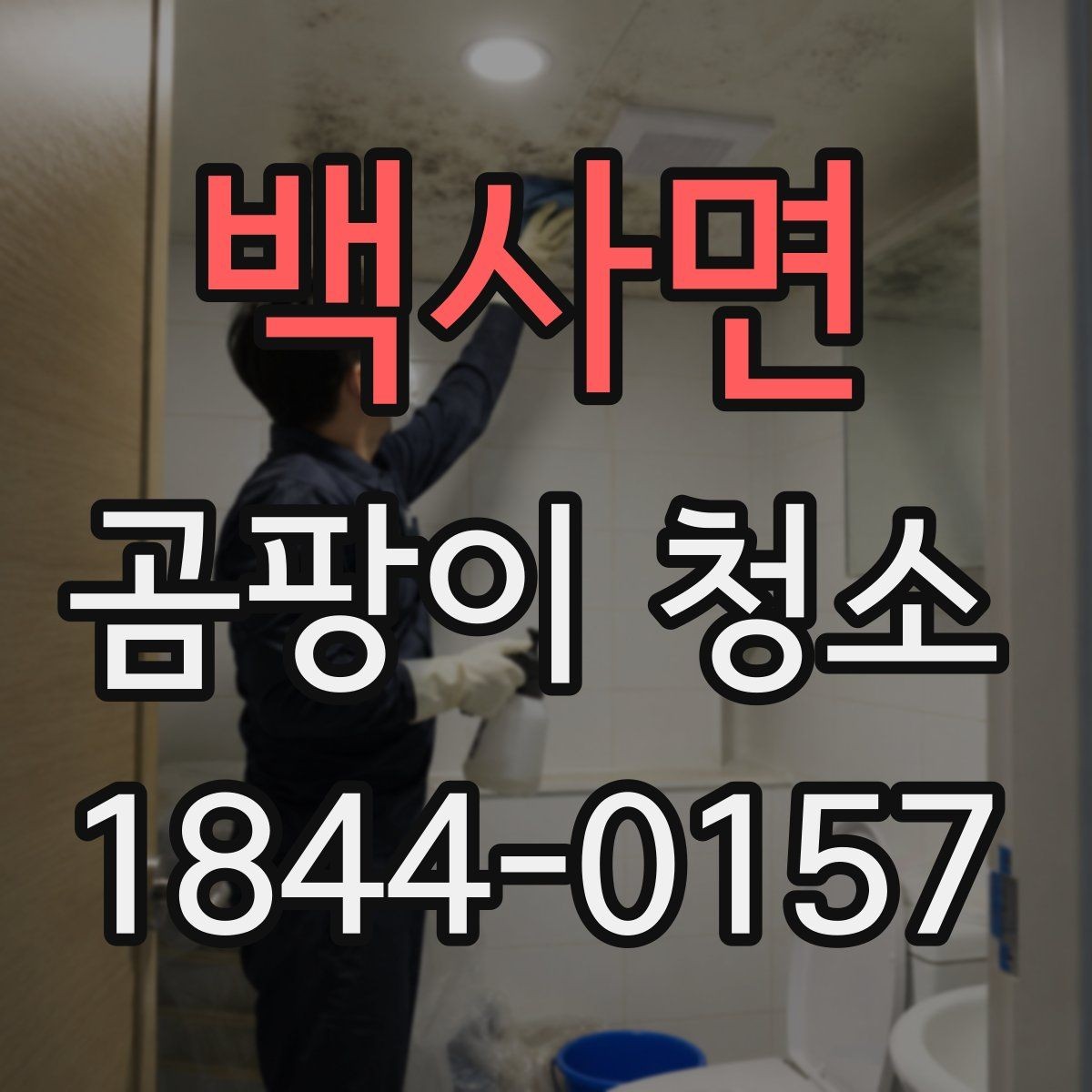 백사면 곰팡이 청소 환기 습관을 다시 점검해야 하는 상황