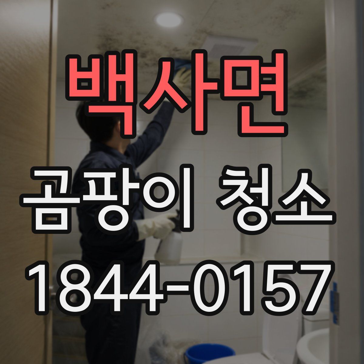 백사면 곰팡이 청소