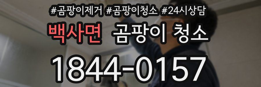 백사면 곰팡이 청소